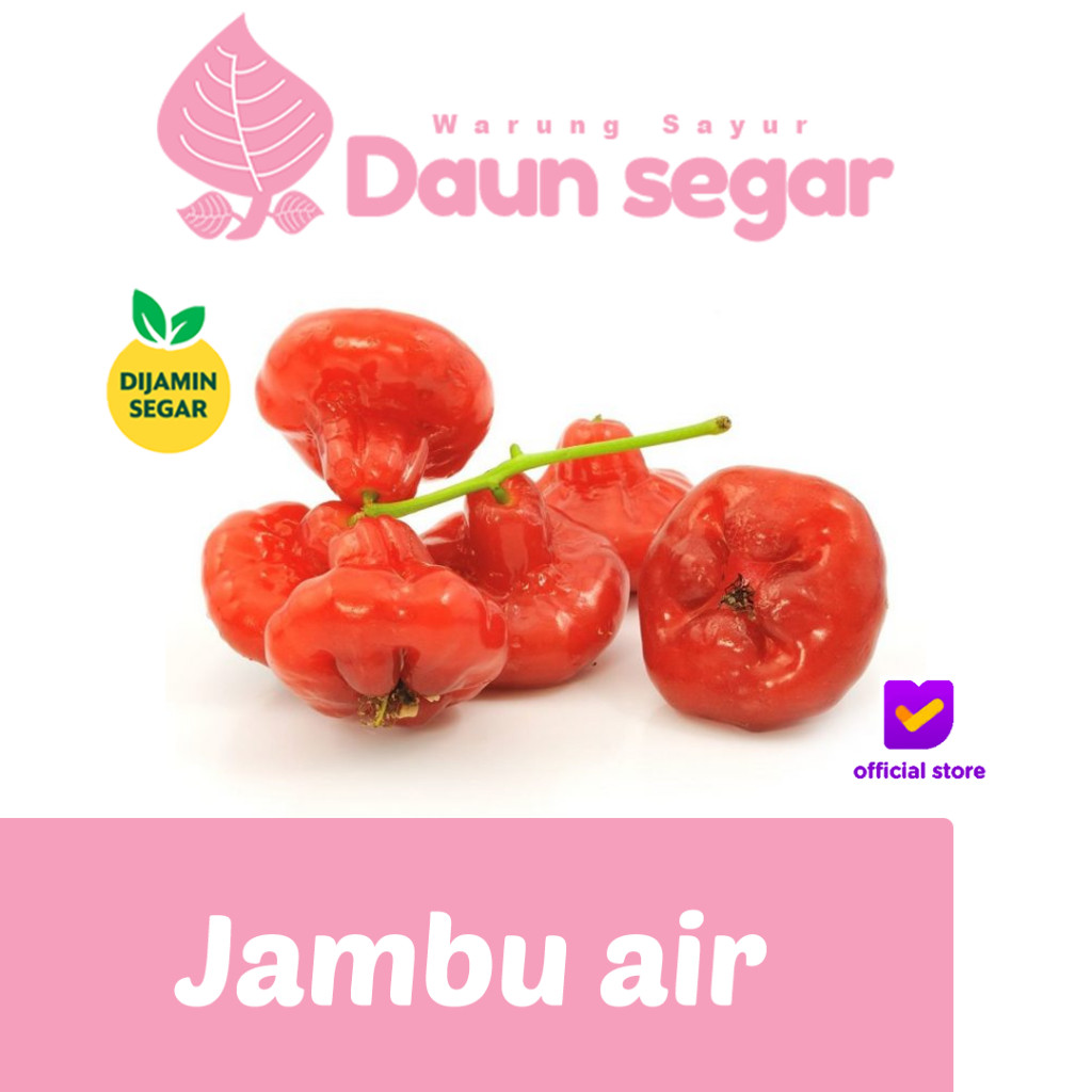 

Jambu Air Merah Super Fresh 1kg Manis, Renyah, Juicy! Langsung dari Kebun Daun Segar