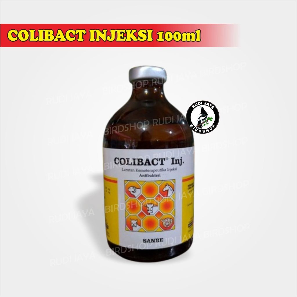 JUAL COLIBACT INJEKSI 50 ML 100 ML INJEKSI SANBE OBAT VITAMIN HEWAN TERNAK UNGGAS ANTIBIOTIK DIARE