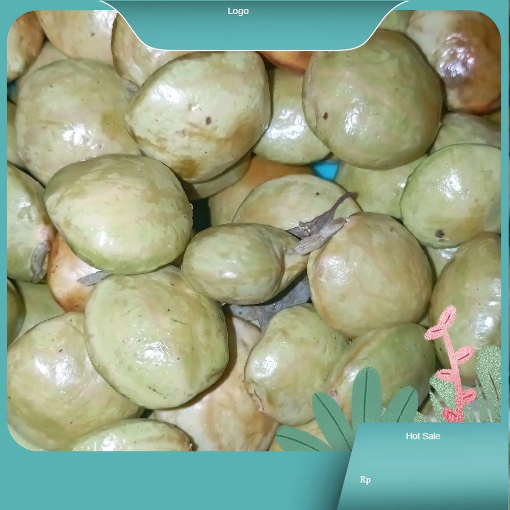 

Jengkol Muda Jarang Ada Buat Lalab Maknyus Isi 250gram - Produk Dengan Deskripsi Menyebutkan Berat 250gram