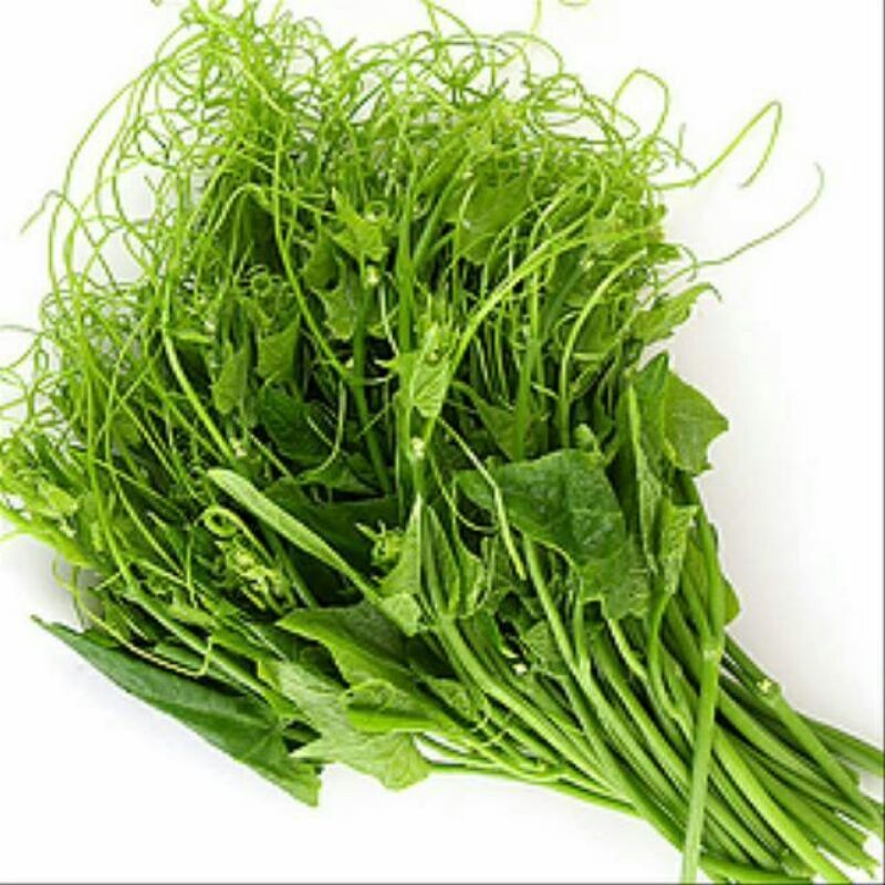 

Sayuran segar Daun Labu Siam,Daun pucuk labu siam