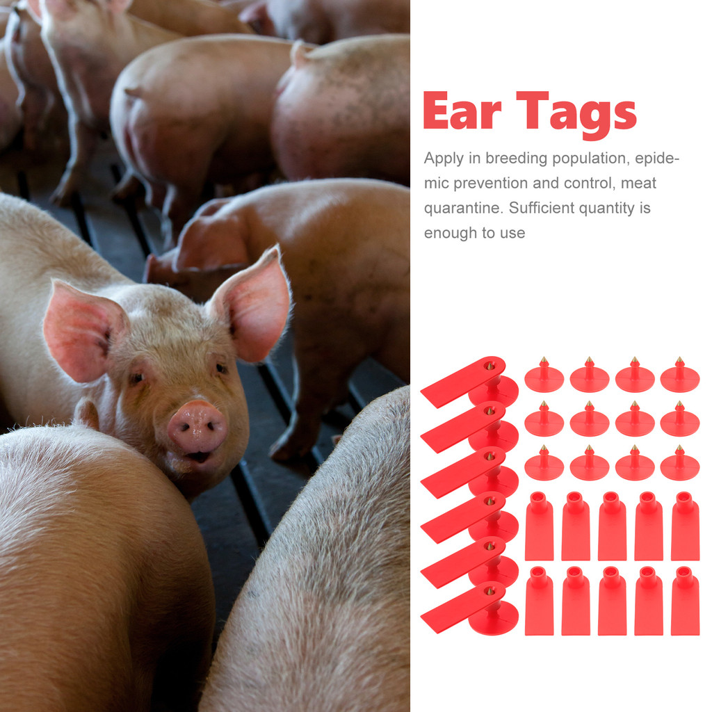 

100 Pcs Sheep Ear Tag Animal Signs Cow Tags for Cattle Pig Tpu Livestock ID Label