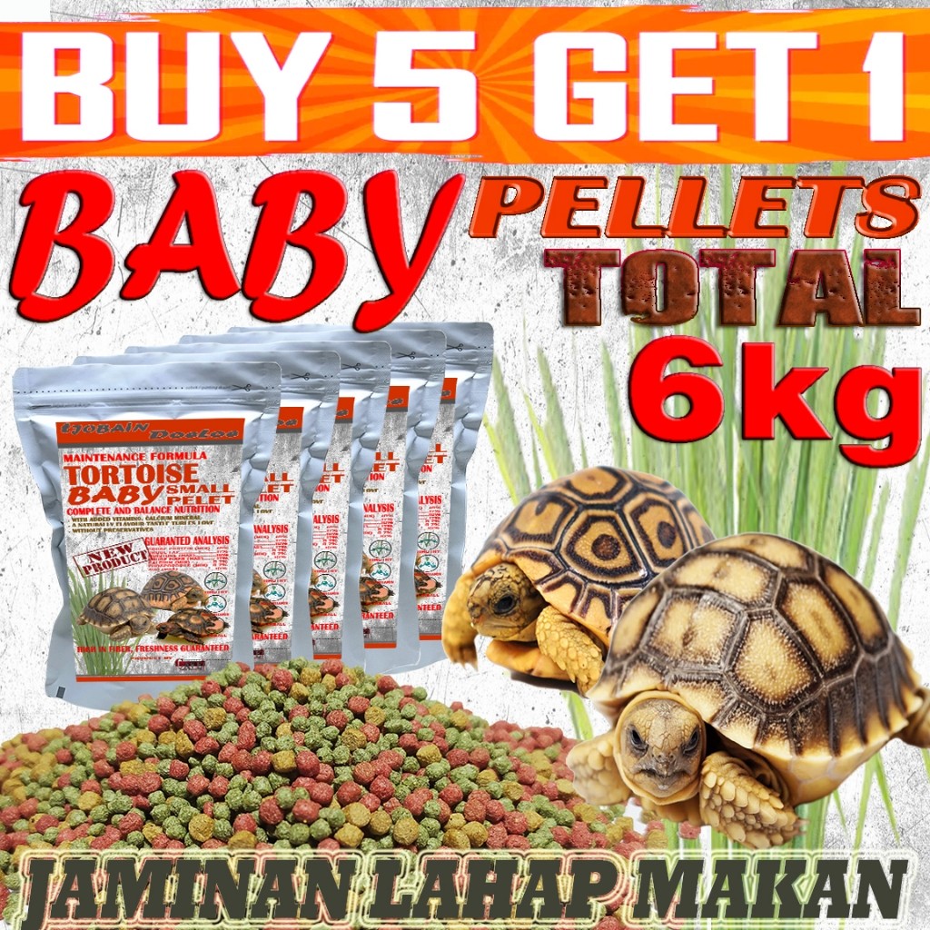TORTOISE SULCATA SULKATA BABY BITES PELET MAKANAN BAYI KURA-KURA DARAT PARDALIS YNIPHORA ALDABRA RAD