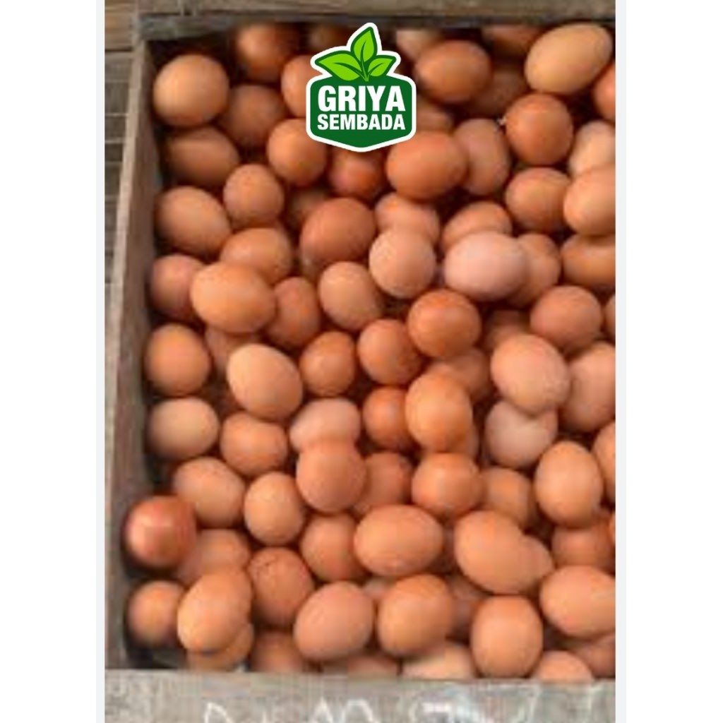 

Telur Ayam Negeri Grade A 6 Kg Griya Sembada