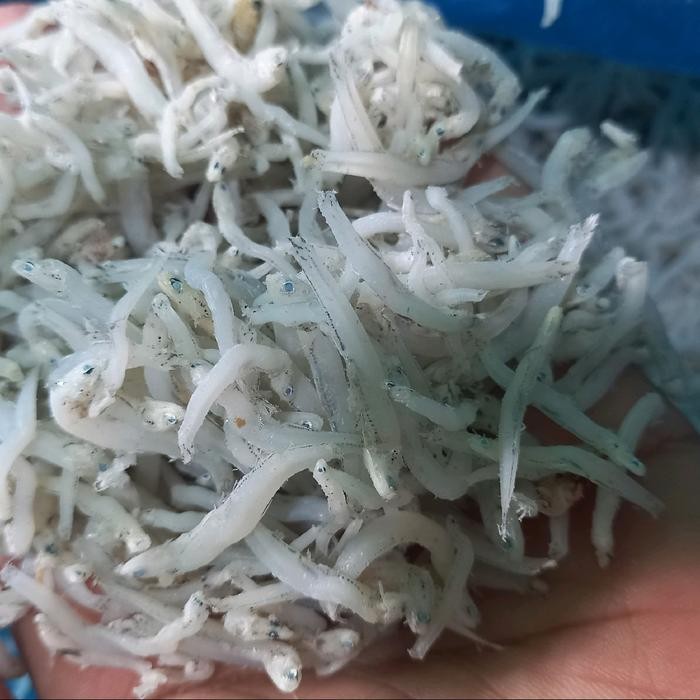 

TERI NASI MEDAN SUPER KERING ENAK BERSIH - berat 1 Kg Terlaris