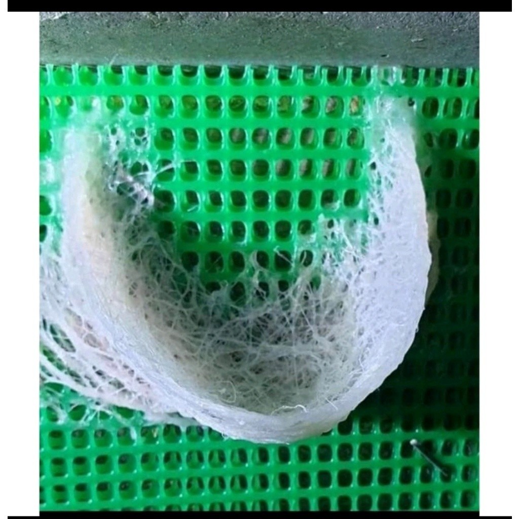 Ram Hijau Thailand 15 Cm x 1 Meter Sirip Walet Gedung Pemikat Walet / Ram Hijau / Kawat Gedung Walet