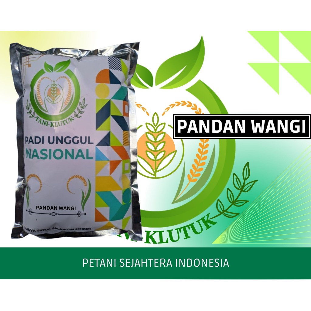 BIBIT/ Benih padi pandan wangi kemasan 1kg ORIGINAL PRODUK