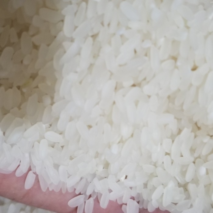 

BERAS BMW PANDAN WANGI 10 KG SUPER 100