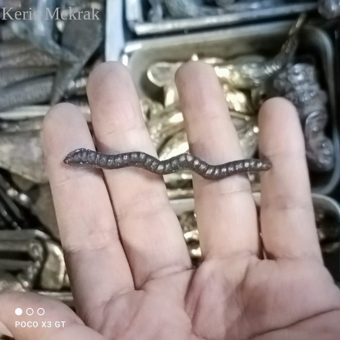 azimat cacing kanil full kuningan wingit Murah Meriah JD21 antik laris