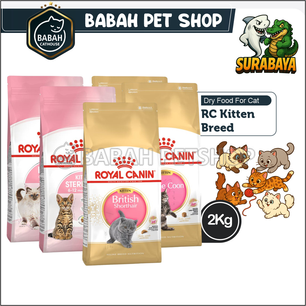 2kg ROYAL CANIN KITTEN BREED cat food persian british mainecoon sterilised makanan anak kucing rc un
