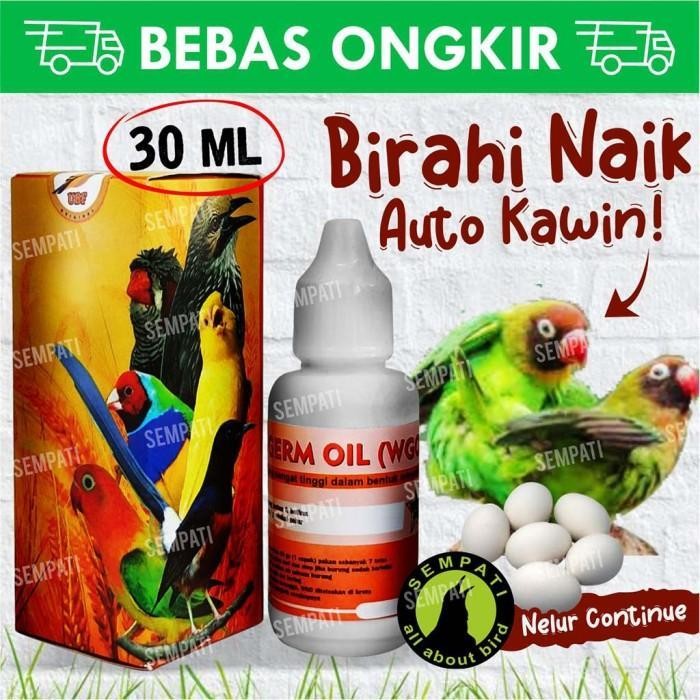 WGO VITAMIN TERNAK BURUNG WGO WHEAT GERM OIL MINYAK GANDUM OAT WGOVIT