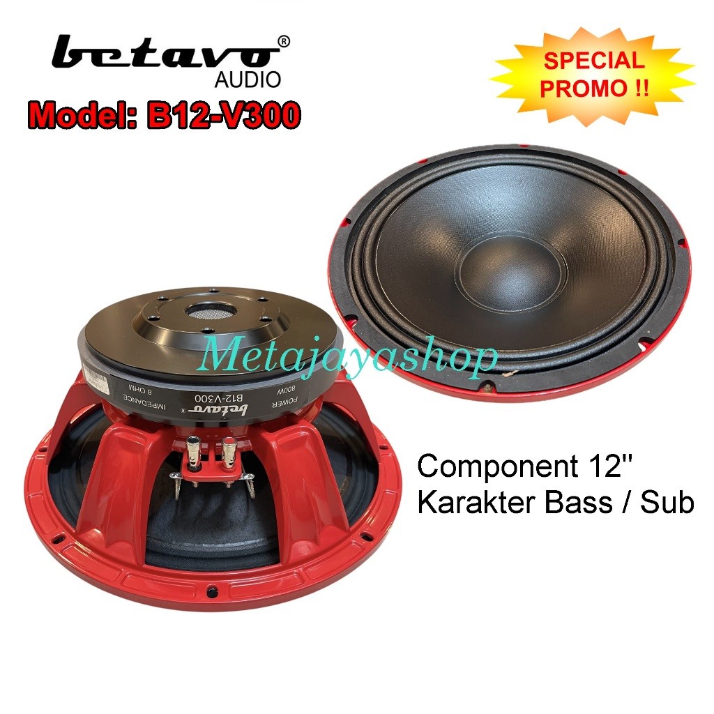 Speaker Component Betavo B12-V300 Komponen betavo b12 v300