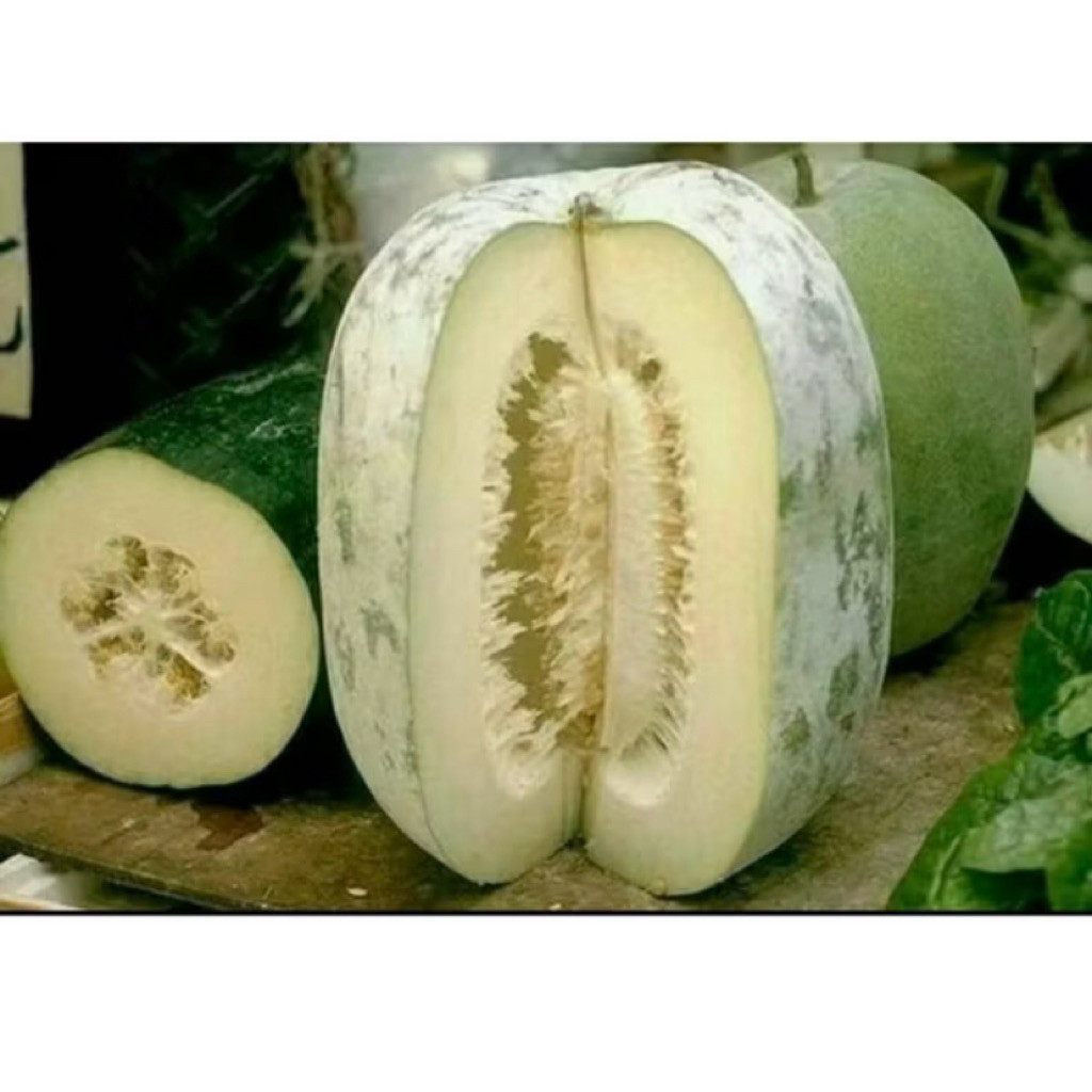 

2kG Buah Bligo/Kundur Frees Baru Di Petik