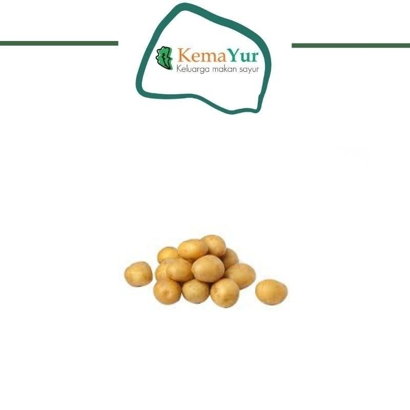 

KENTANG RENDANG 1KG BABY POTATO