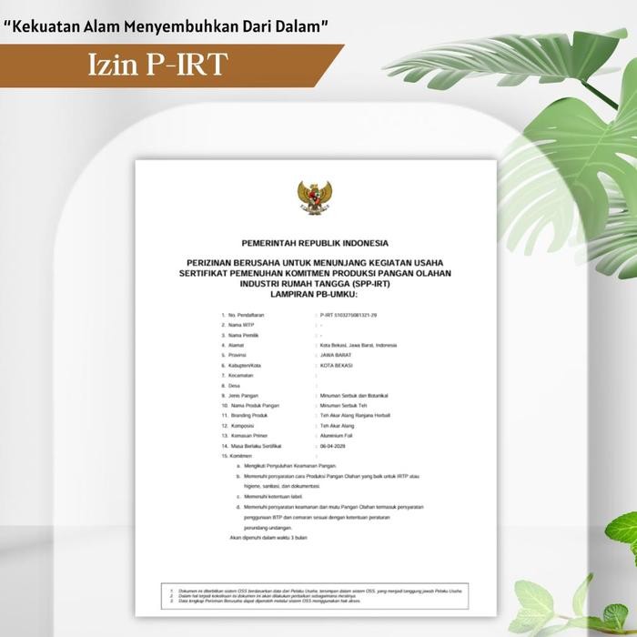 

Teh Akar Alang Spesialis Ginjal 100 Alami 100 Sembuh