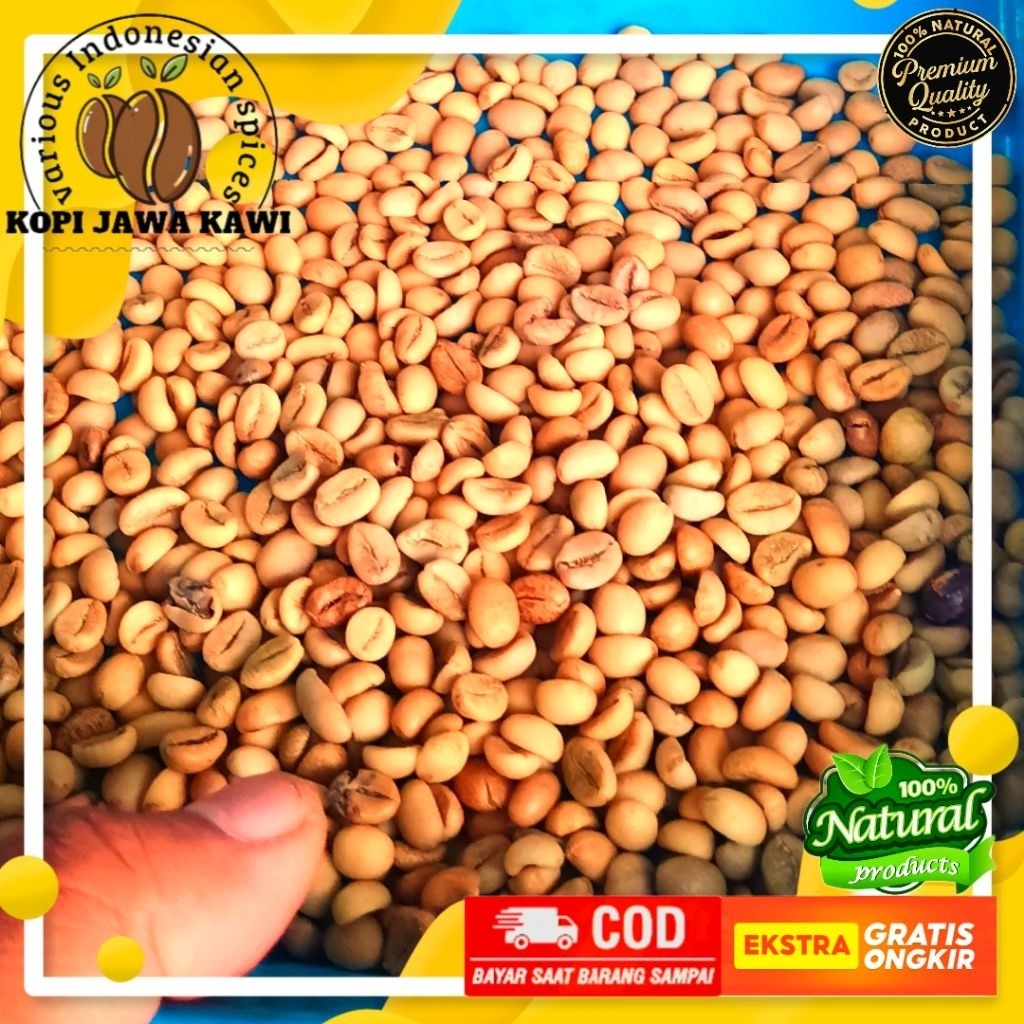 

Biji Kopi Green Bean Natural Robusta Premium 100% Coffee Tua Super Full Washed Gunung Kawi 500g