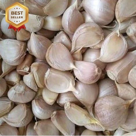 

Bawang Putih Kating Bersih 500 gr