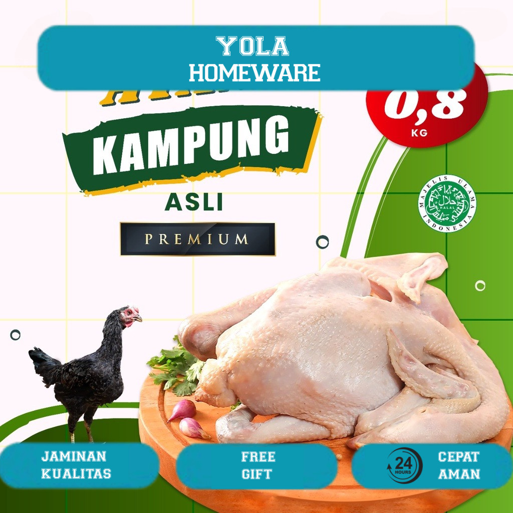 

AYAM KAMPUNG 0.8 KG UTUH PAKAI KEPALA KAKI