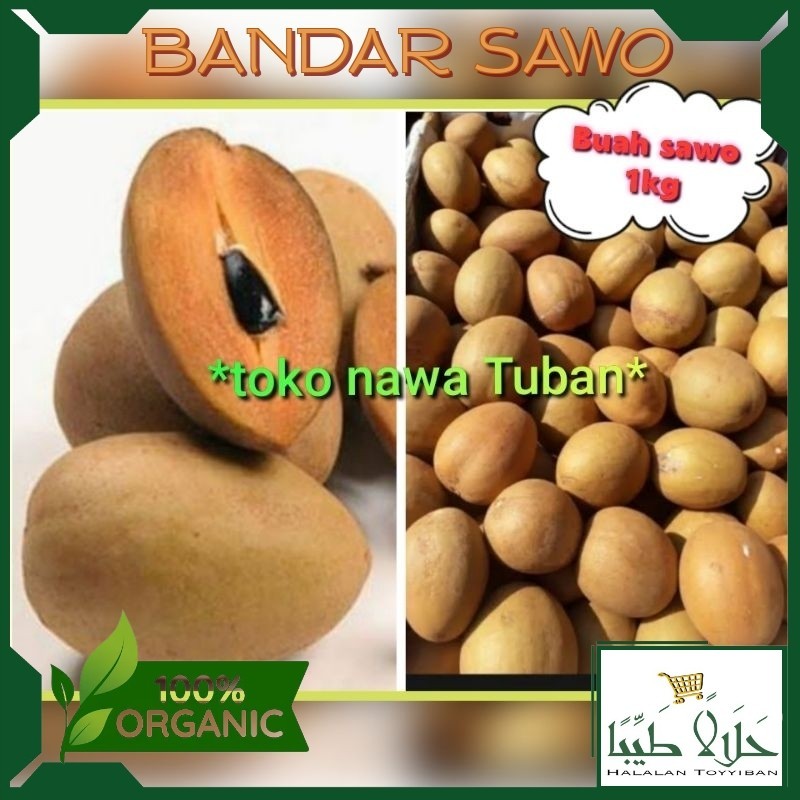 

BANDAR buah sawo 1kg sawo perkilo manis