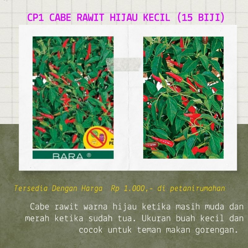 BENIH BIJI BIBIT CABE RAWIT HIJAU BARA MURAH