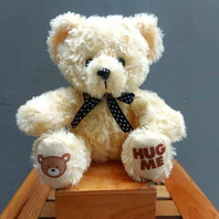 Grosir Boneka Bear Hug Me Beruang Mini Ukuran Xs 15Cm Bear Doll Lucu Bouquet Boneka Buket Hampers