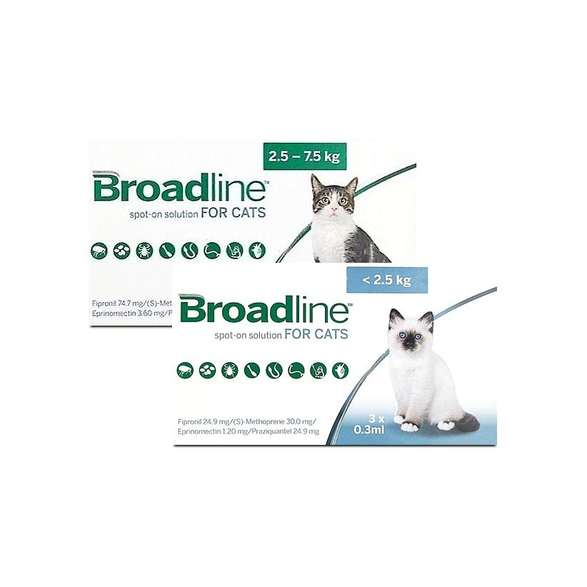 AM12L Broadline - Obat kutu kucing ampuh plus obat cacing dan scabies / BROADLINE (Per Pipet/ Tube)