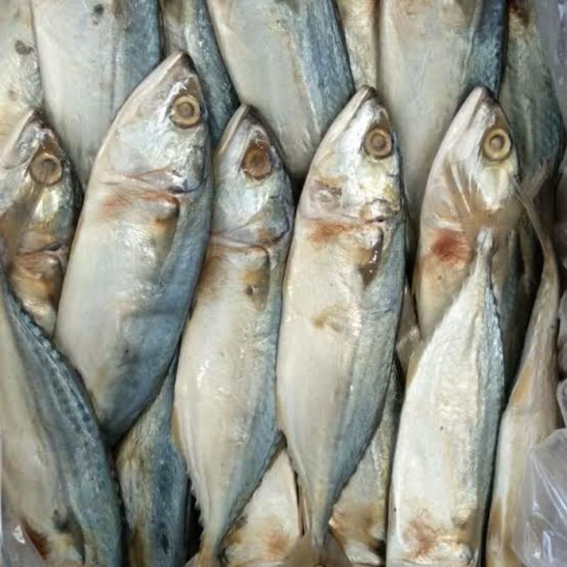 

Ikan Asin Peda Putih / Berat 500 Gram