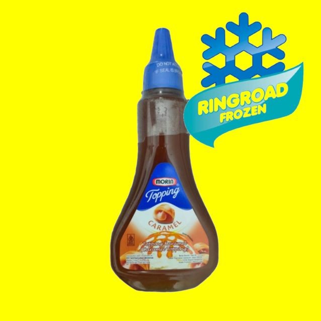 

MORIN TOPPING CARAMEL 310 GR