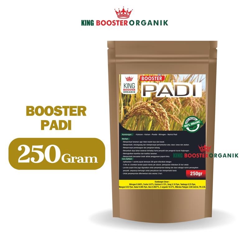 Pupuk Booster Padi (250gr)  l pupuk organik murah pelebat padi l pupuk organik murah padi