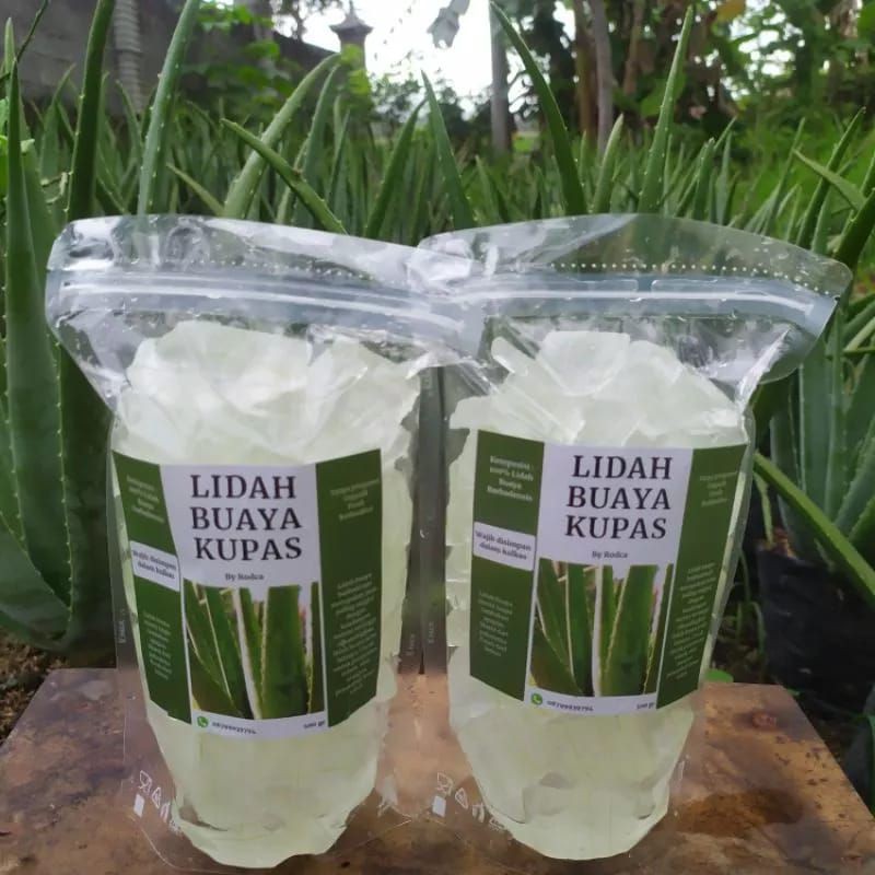 

LIDAH BUAYA KUPAS ALAMI KEMASAN REPACKING