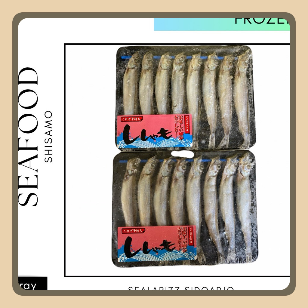 

Ikan Shisamo / Shisamo Capelin Fish / Ikan Cipung / Ikan Shishamo