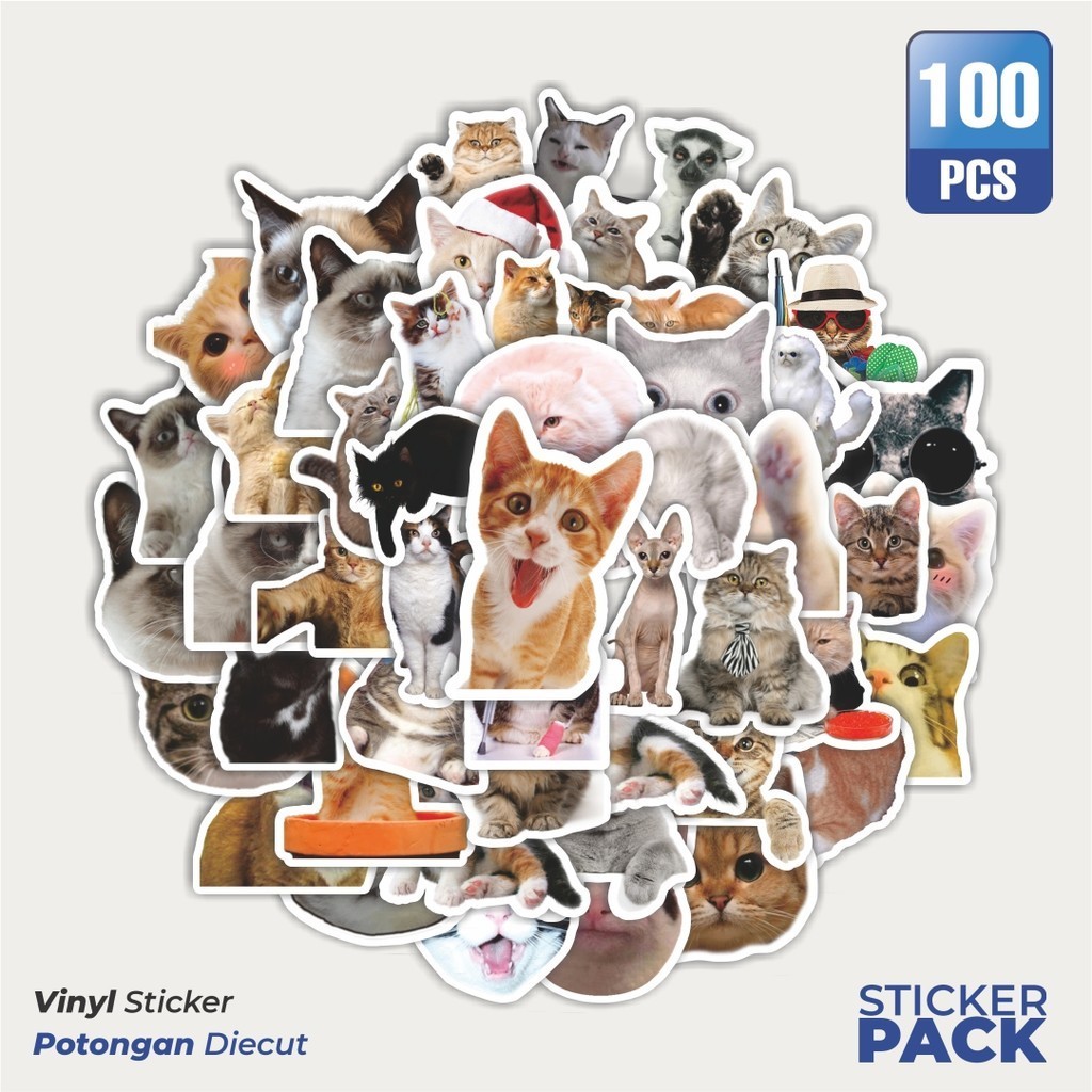 

Stiker Vinyl Stiker Hewan Funny Cat/Kucing Waterproof Aesthetic- Untuk Laptop, Motor, dan Helm - Paper Stationery Pack