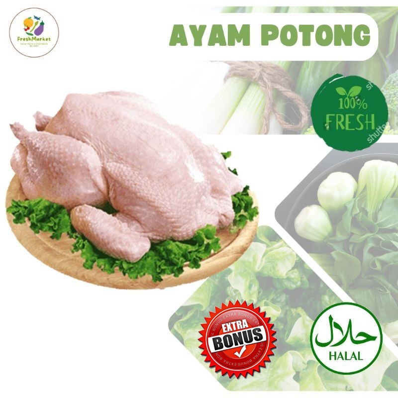 

Ayam Potong Daging Ayam Boiler Segar 1 Ekor Sayurinstant