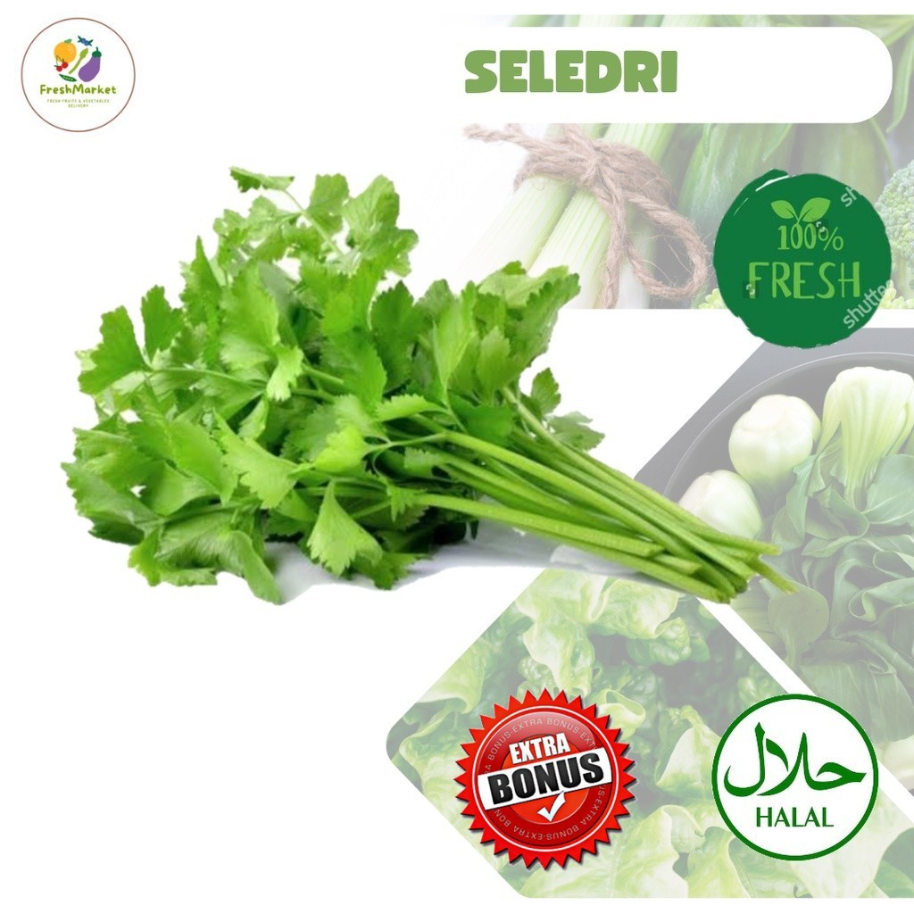 

Daun Seledri Sayur Bumbu Dapur Sop Segar Per Ikat Sayurinstant