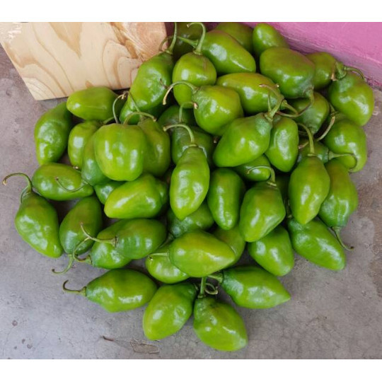 

HOT PROMO cabe gendot cabe bendot cabai setan fresh 500gr superrrr pedasss