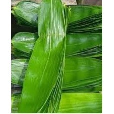 DAUN BAMBU SEGAR 100 LEMBAR DAUN BACANG / BUNGKUS BACANG