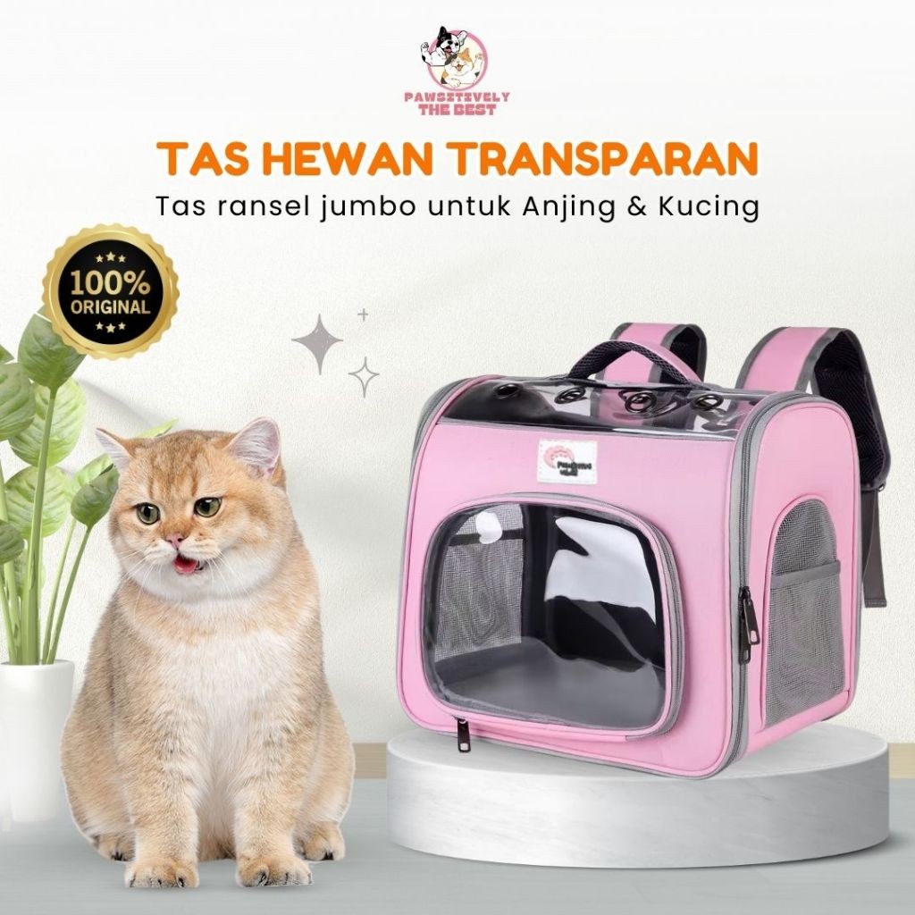 Tas Ransel Hewan Transparan - Travel Bag Anjing Kucing Jumbo - Pet Rucksack Backpack / Anabul Carrie