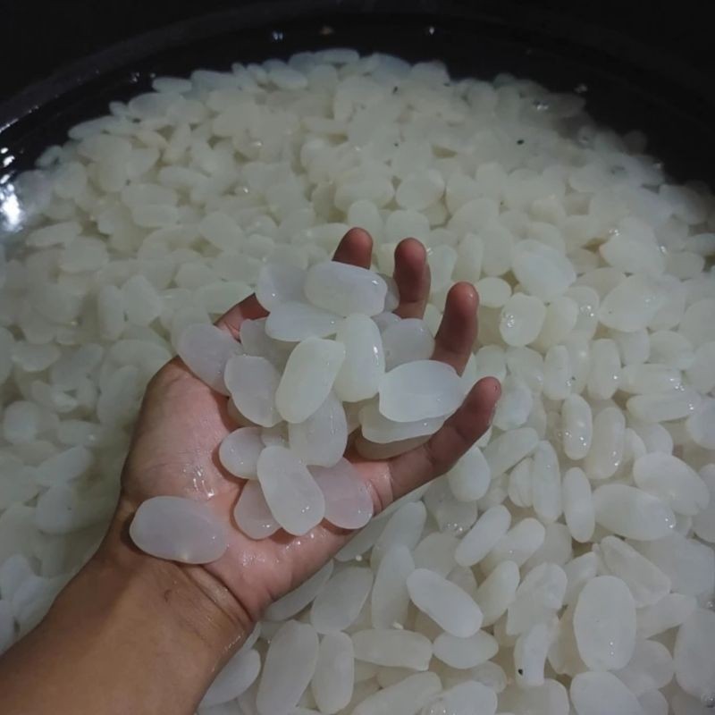 

Kolang Kaling / Caruluk Muda dan Kenyal Fresh Murah 1kg