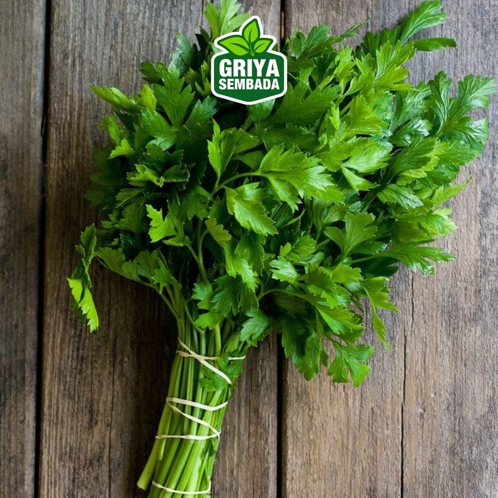 

Daun Seledri Fresh 50gr - Griya Sembada Kirim Instant /Sameday/Grabfood