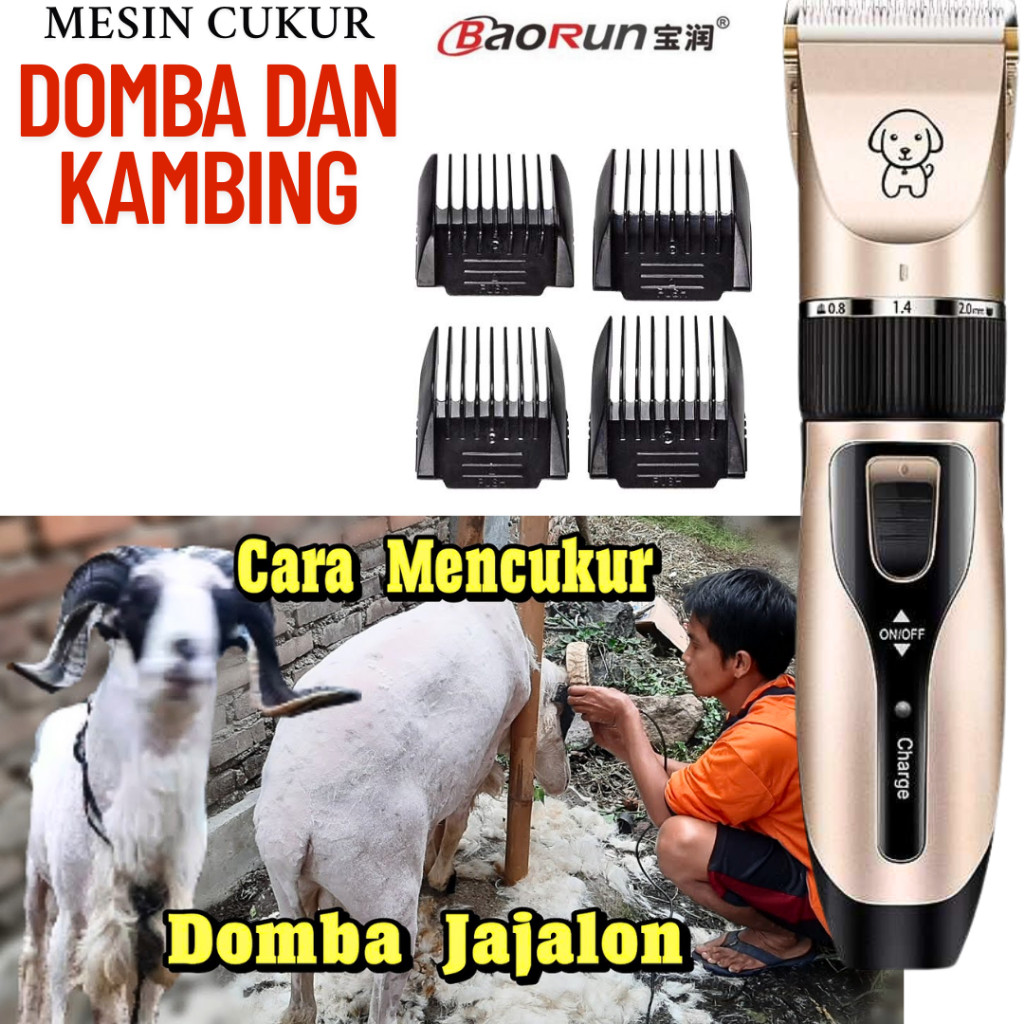 COD Alat Mesin Cukur domba baorun original Elektrik Bulu hewan kambing tanpa kabel di cas