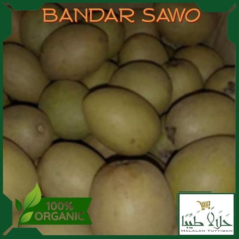 

BANDAR Sawo Madu Super Manis 1 Kg