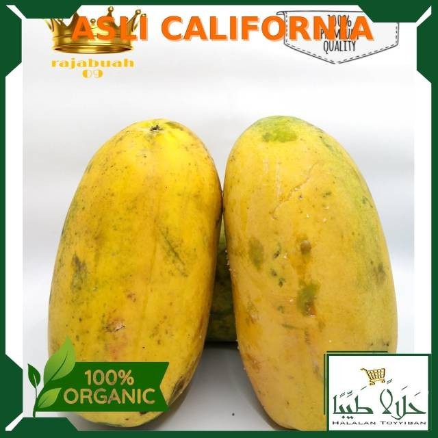 

Buah Pepaya California / Pepaya Fresh Manis Per 1 Buah