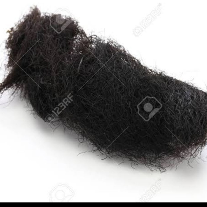 

GL Fat Choi 50gram Fat coy Sayur Rambut - Rambut Baso Lohoa