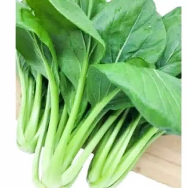 Benih Sawi Caisim | Bibit Sawi Hijau Caisim