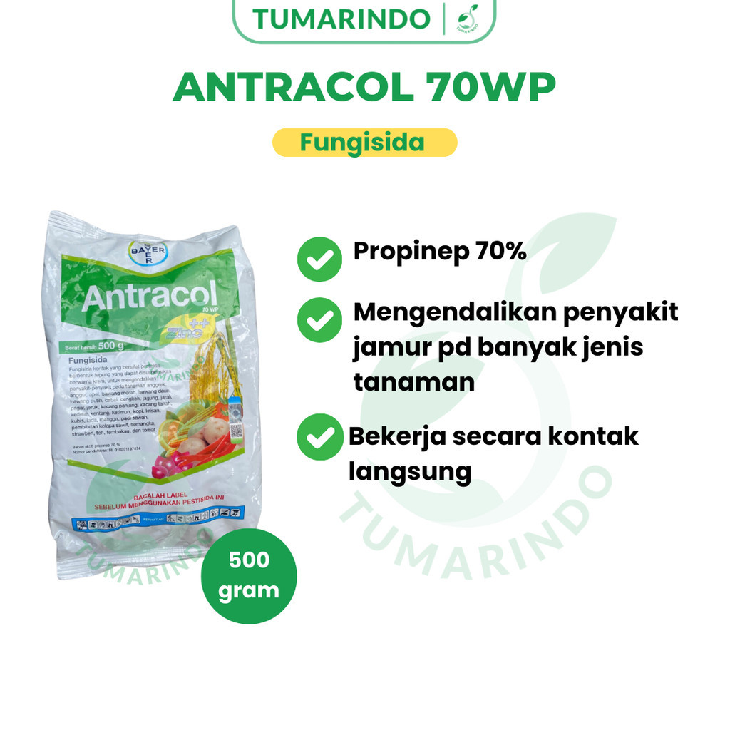 Antracol 70wp 500gram Fungisida Kontak Pengendali Jamur