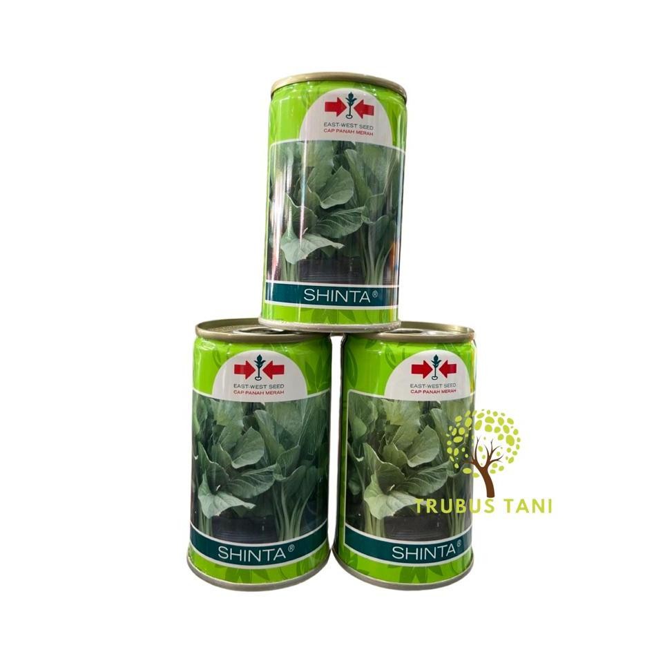 BENIH SHINTA KALENG / BIBIT Caisim Sawi SHINTA 100gr