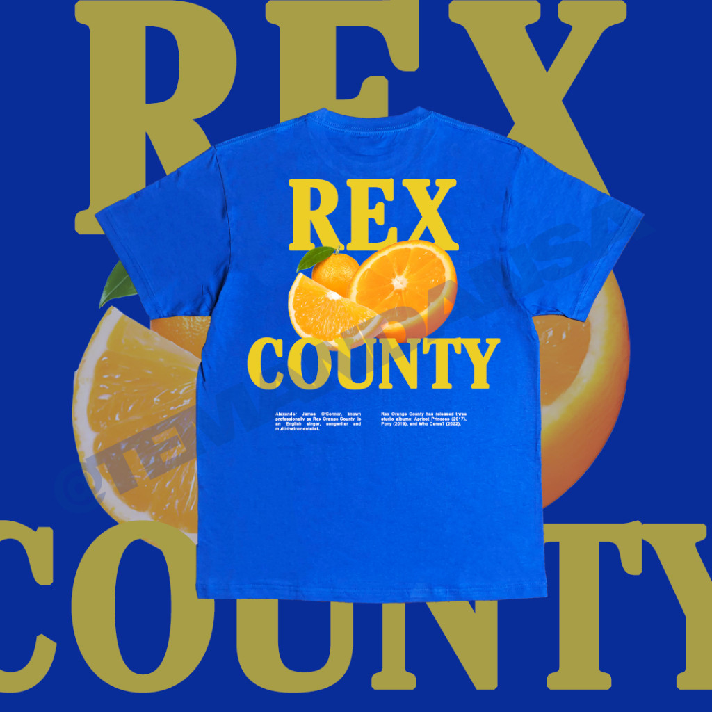 REX ORANGE COUNTY - ORANGE REGULER T-SHIRT