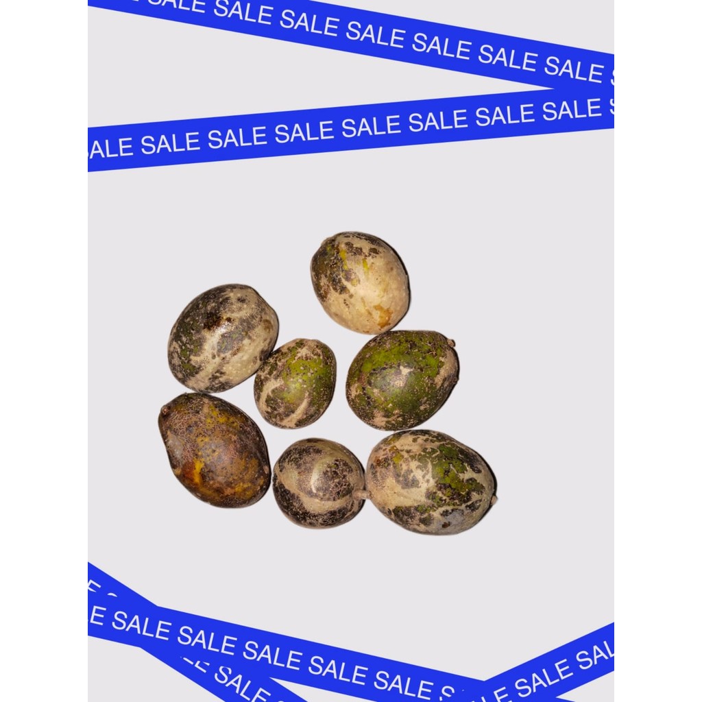 

Buah kedongdong 1kg - Untuk Rujak