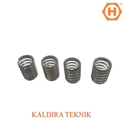 PROMO CUCI GUDANG - SPRING VALVE MESIN DIESEL YANMAR TF55/65 PER SET