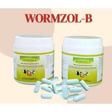 VITA B PLEX BOLUS Vita B-Plex Bolus, Vita BPlex Bolus MEDION Tingkatkan Nafsu Makan Pertumbuhan