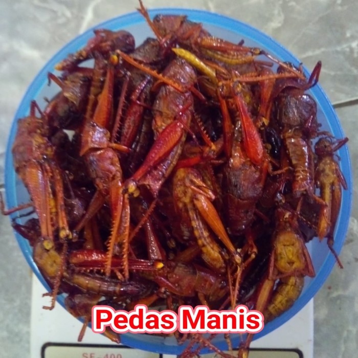 

Belalang Goreng Pedas Manis 200gr - Pedas Manis